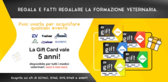 giftcard 550x270