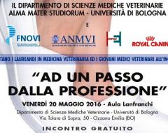 AD1PASSOPROF animaligatti valid