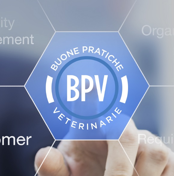 BPV23