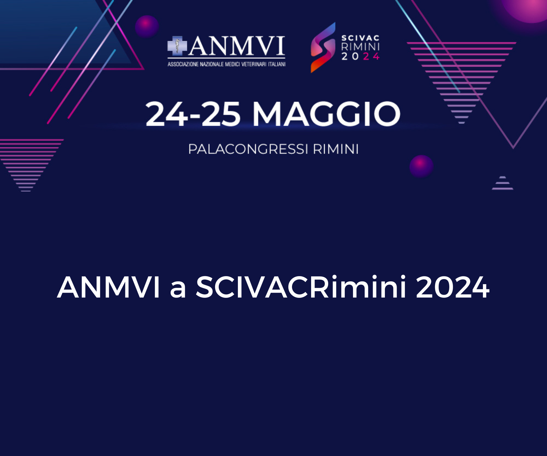 aNMVI A RIMINI 2024