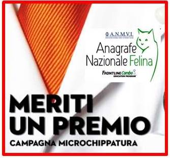 angrafelinaMERITI UN PREMIO