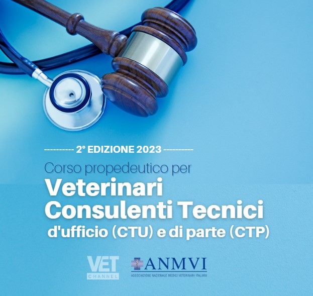 consulenti tecnici 