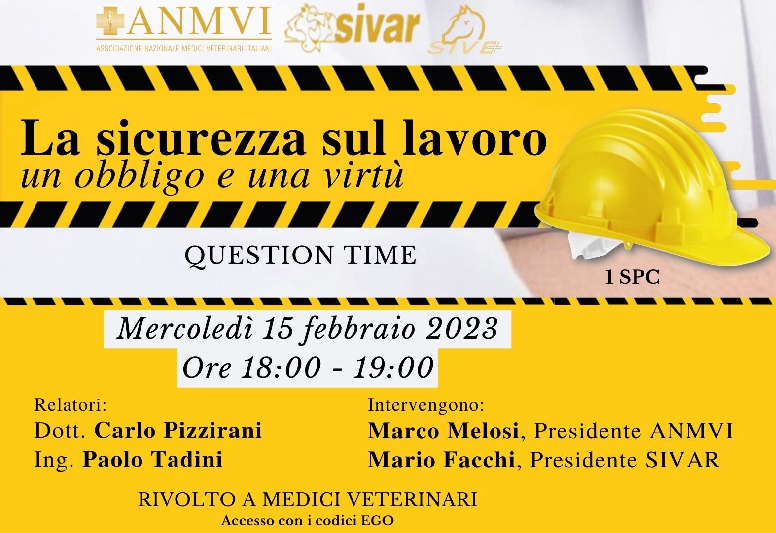 sicurezza sul lavoro webinar anmvi.it