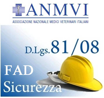 immagine sicurezzaLogo ANMVI