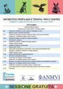 AntibioticoRimini16