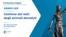 b_130_0_16777215_0_0_images_varie_ANMVI_LEX_FORMAT_2025_1.jpg
