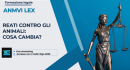 b_130_0_16777215_0_0_images_varie_Lex_2.png