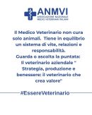 b_130_0_16777215_0_0_images_varie_Vet_aziendale.jpg
